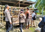 Cegah PMK, Polres Loteng Bantu Edukasi Peternak