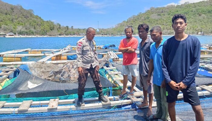 Bhabinkamtibmas Sekotong Apresiasi Budidaya Ikan di Gili Gede