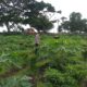 Polisi Sambangi Petani Jagaraga, Dorong Optimalisasi Lahan