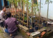 Ketahanan Pangan Prioritas, Polsek Labuapi Motivasi Warga Kembangkan Pekarangan Produktif