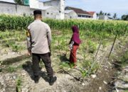 Petani Lombok Sambut Baik Program Ketahanan Pangan dari Polisi