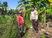 Bhabinkamtibmas Kuripan Ajak Warga Tanam Jagung, Perkuat Ketahanan Pangan