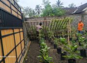 Ketahanan Pangan: Polsek Kuripan Gencar Sosialisasi Berkebun di Pekarangan