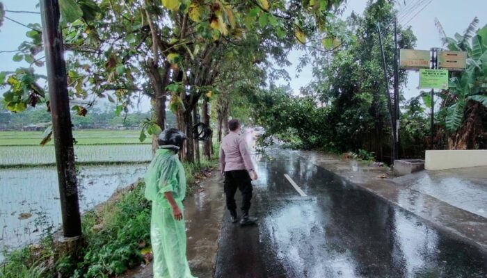 Akses Jalan Rengganis Sempat Tertutup Akibat Pohon Tumbang