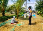 Demi Ketahanan Pangan, Bhabinkamtibmas Motivasi Petani