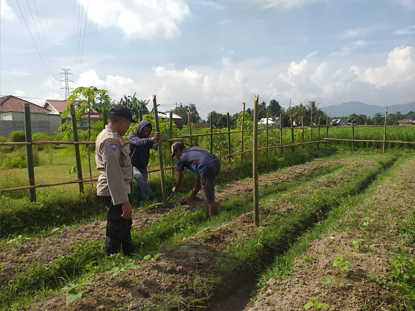 Sinergi Polisi dan Warga Kuripan: Sukseskan Program Ketahanan Pangan