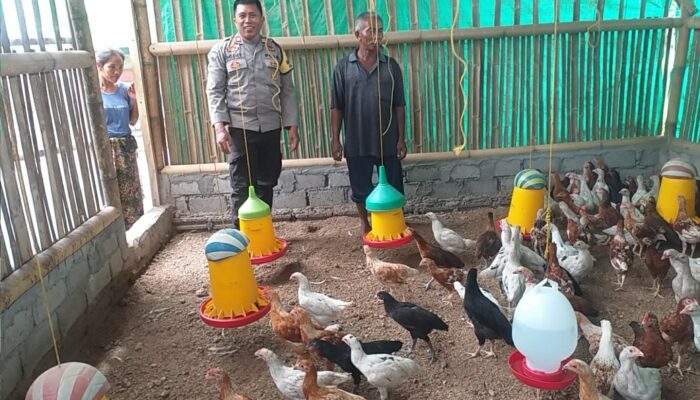 Kunjungi Peternak Ayam, Bhabinkamtibmas Desa Jagaraga Sosialisasikan Ketahanan Pangan