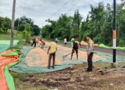 Dukung Ketahanan Pangan, Bhabinkamtibmas Desa Calabai Pantau Panen Raya