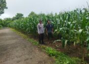 Polsek Manggelewa Ajak Warga Dukung Ketahanan Pangan Nasional Menuju Indonesia Emas 2045