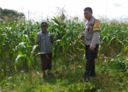 Dukung Ketahanan Pangan, Bhabinkamtibmas Dorong Pemanfaatan Lahan