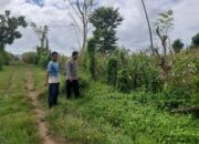 Bhabinkamtibmas Desa Nusa Jaya Pantau Pemanfaatan Lahan Pertanian, Dukung Program Ketahanan Pangan Nasional