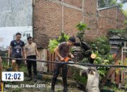 Aksi Cepat Tanggap Sat Samapta Polres Sumbawa Evakuasi Pohon Tumbang di Kebayan