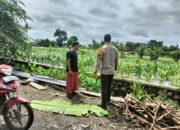 Polri Dukung Ketahanan Pangan, Bhabinkamtibmas Labuapi Ajak Petani Berinovasi