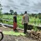 Bhabinkamtibmas Labuapi Aktif Dorong Ketahanan Pangan di Tingkat Petani