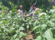 Bhabinkamtibmas Polsek Rhee Berikan Motivasi kepada Warga Desa Luk untuk Tingkatkan Ketahanan Pangan