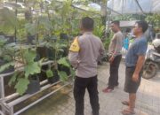 Polres Loteng Apresiasi Masyarakat Manfaatkan Lahan Pekarangan Bergizi Dukung Ketahanan Pangan Nasional