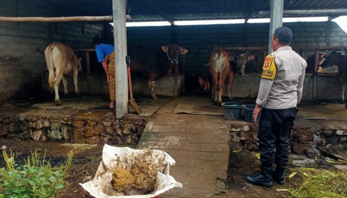Dekatkan Diri ke Warga, Bhabinkamtibmas Dorong Usaha Ternak