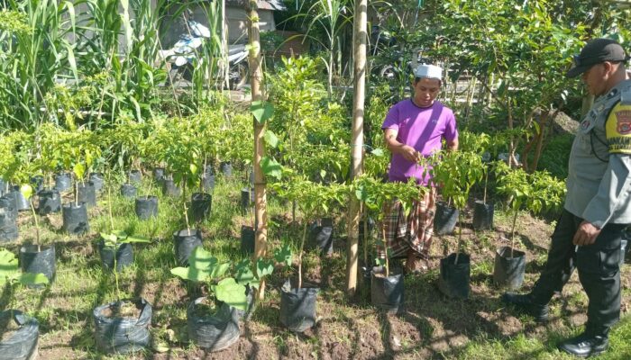 Sinergi Polisi dan Warga Lombok Barat Wujudkan Program Ketahanan Pangan