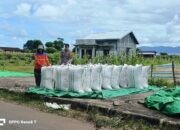 Bhabinkamtibmas Desa Hu’u Dampingi Warga Jemur Jagung, Dukung Program Ketahanan Pangan Nasional