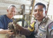 Dukung Ketahanan Pangan, Bhabinkamtibmas Desa Sermong komitmen Berikan Bantuan Bibit Bebek Petelur Kepada Warga Binaan