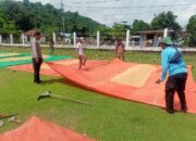 Jagung Terancam Gagal Panen Akibat Hujan, Warga Marada Tetap Semangat Dukung Ketahanan Pangan