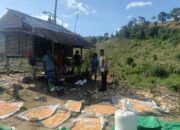 Bhabinkamtibmas Desa Adu Dampingi Pengeringan Jagung Milik Warga, Dukung Program Ketahanan Pangan