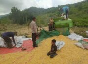 Dukung Ketahanan Pangan, Bhabinkamtibmas Desa Ranggo Pantau Penggilingan Jagung Petani