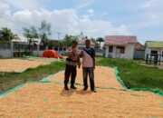 Menyukseskan Program Ketahanan Pangan Nasional, Bhabinkamtibmas Polsek Woha Bantu Proses Pengeringan Jagung Warga Binaan