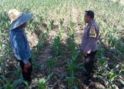 Bhabinkamtibmas Desa Bagik Polak Barat Dorong Kemandirian Pangan