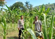 Ketahanan Pangan: Kolaborasi Bhabinkamtibmas dan Warga Desa Senggigi