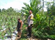 Polsek Kuripan Aktif Sosialisasi Ketahanan Pangan ke Petani Desa Jagaraga