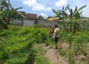 Polri dan Masyarakat Bersinergi Wujudkan Ketahanan Pangan