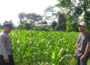 Petani Jagung Lombok Barat Disambangi Polri, Ini Tujuannya