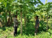 Sinergi Warga dan Polisi Gerakkan Pertanian Rumah Tangga