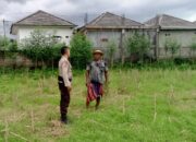 Sinergi Polri dan Warga: Wujudkan Ketahanan Pangan dari Halaman Rumah