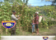 Bhabinkamtibmas Desa Rhee Motivasi Dan Ajak Warga Menanam untuk Ketahanan Pangan