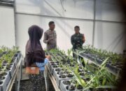 Polres Loteng dan Kodim 1620/Loteng Bersinergi Gelorakan Pekarangan Bergizi Dukung Ketahanan Pangan Nasional