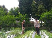 Sinergi Polisi dan Warga Wujudkan Ketahanan Pangan di Lombok Barat