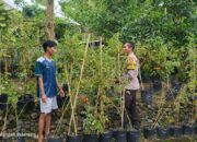 Sinergi Polri dan Pemuda: Wujudkan Kemandirian Pangan di Desa Kuripan