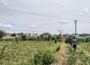 DDS Bhabinkamtibmas: Pendekatan Humanis Jaga Kamtibmas dan Pangan