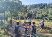 Peran Aktif Polsek Batulayar dalam Program Ketahanan Pangan Masyarakat