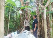 Bhabinkamtibmas Sandik Ajak Warga Manfaatkan Lahan Kosong untuk Hortikultura