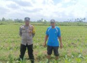 Polsek Gerung Perkuat Harkamtibmas dengan Program Door to Door dan Sosialisasi Ketahanan Pangan