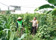 Sinergi Polri-Masyarakat Wujudkan Ketahanan Pangan di Lombok Barat