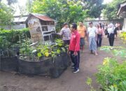 Program Ketahanan Pangan Digencarkan di Desa Jagaraga