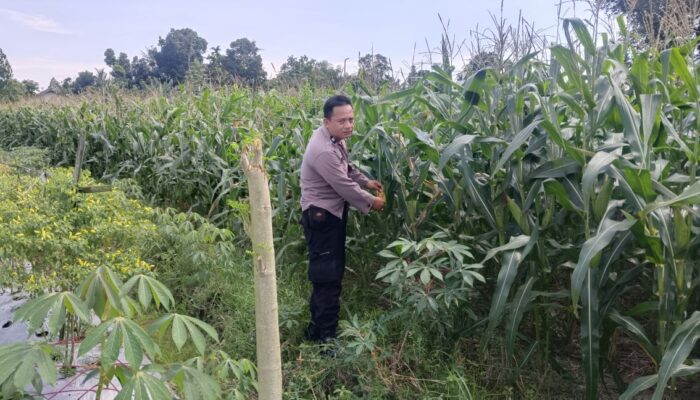 Silaturahmi Kamtibmas dan Pangan: Peran Polisi di Desa