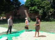 Bhabinkamtibmas Desa Daha Pantau Penjemuran Jagung Warga dalam Rangka Ketahanan Pangan Nasional