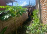 Bhabinkamtibmas Desa Lamusung Turun ke Lahan, Dukung Warga Kelola Pekarangan Jadi Sumber Pangan Bergizi