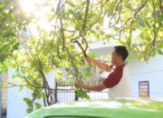 Aksi Nyata Polri Peduli Lingkungan: Kapolres Dompu Pimpin Jum’at Bersih Sepanjang Jalan Bhayangkara