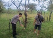 Hendak Menjaring Ikan, Seorang Pria Ditemukan Tewas Dengan Posisi Terlentang di Plampang